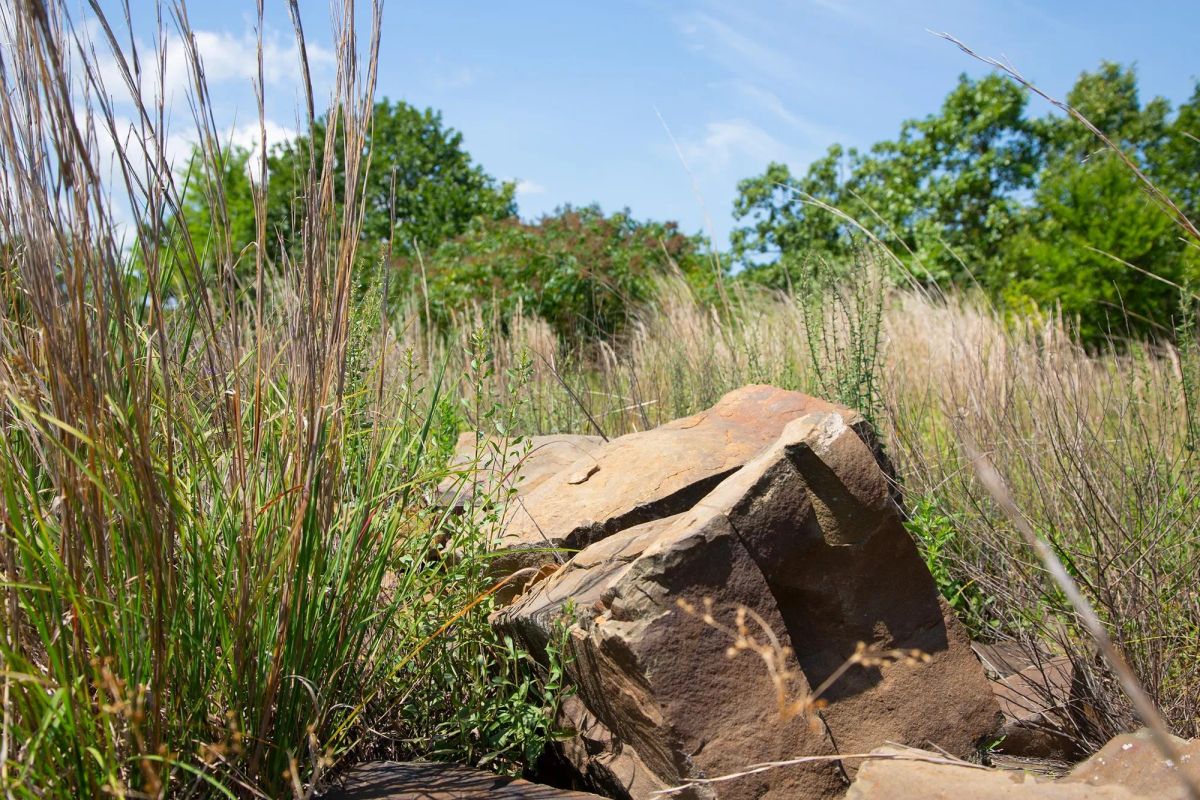 Decorative background for Tyler Stone Ranch Tract 81 image 12