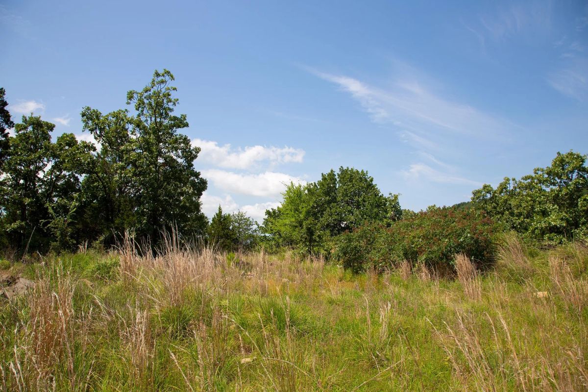 Decorative background for Tyler Stone Ranch Tract 81 image 13