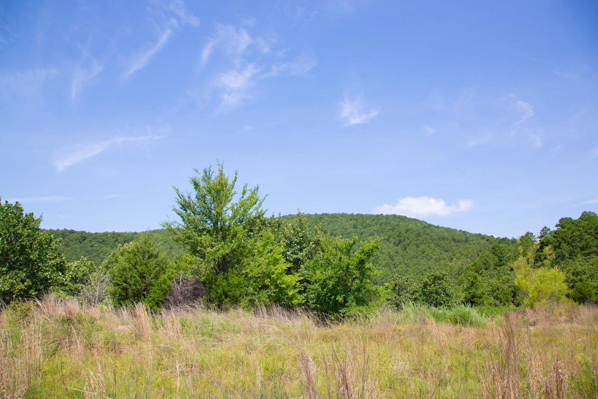 Decorative background for Tyler Stone Ranch Tract 81 image 14