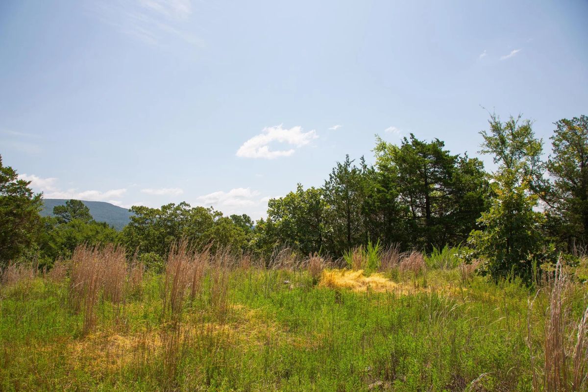 Decorative background for Tyler Stone Ranch Tract 81 image 15