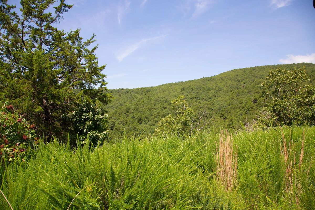Decorative background for Tyler Stone Ranch Tract 81 image 16