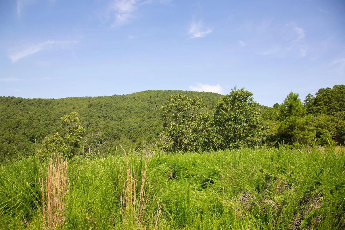 Decorative background for Tyler Stone Ranch Tract 81 image 17