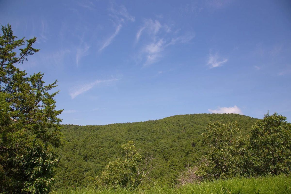 Decorative background for Tyler Stone Ranch Tract 81 image 18