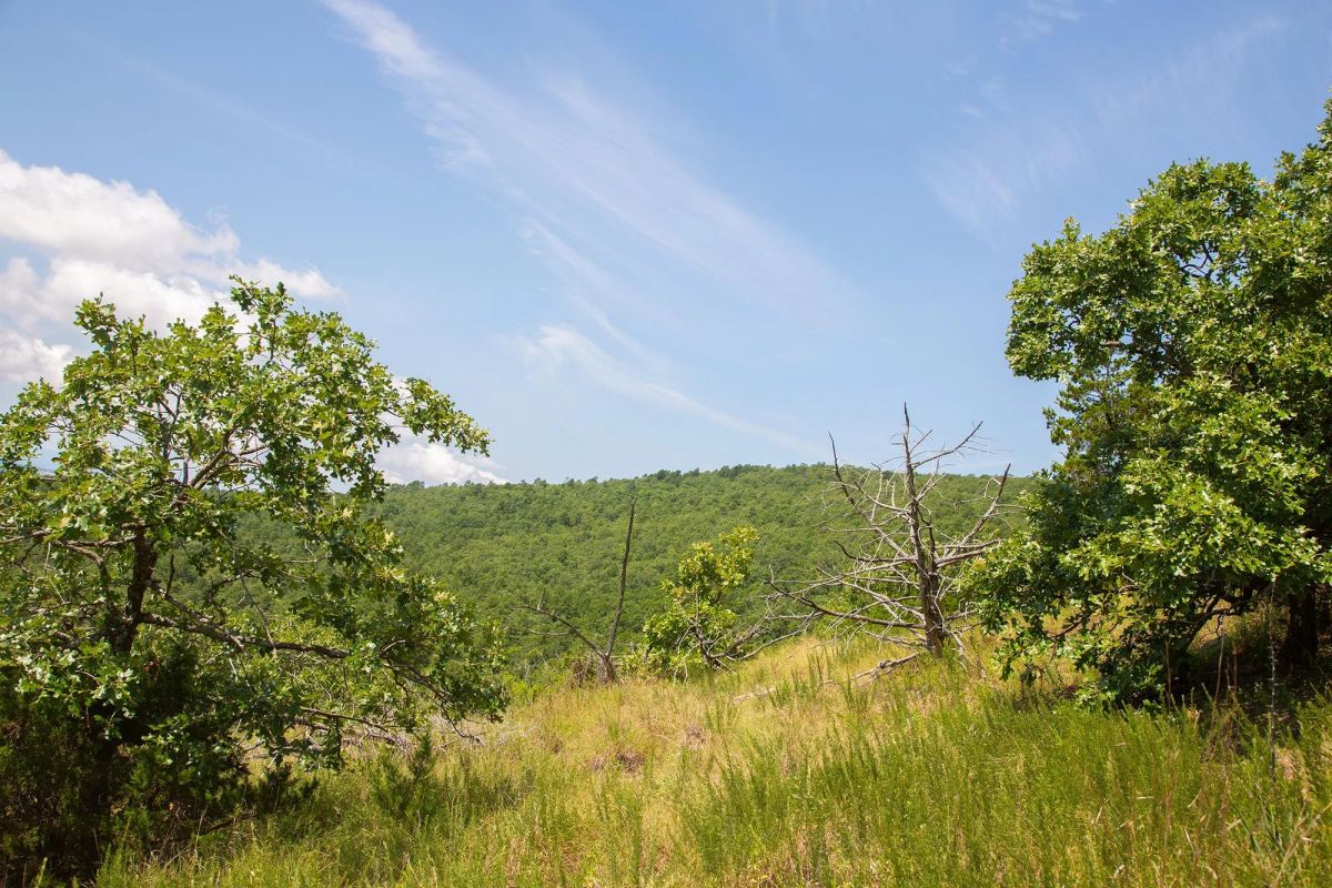 Decorative background for Tyler Stone Ranch Tract 81 image 19
