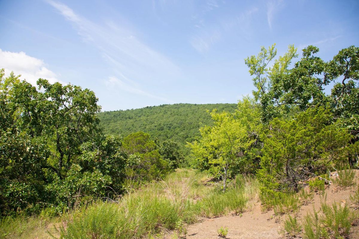 Decorative background for Tyler Stone Ranch Tract 81 image 20