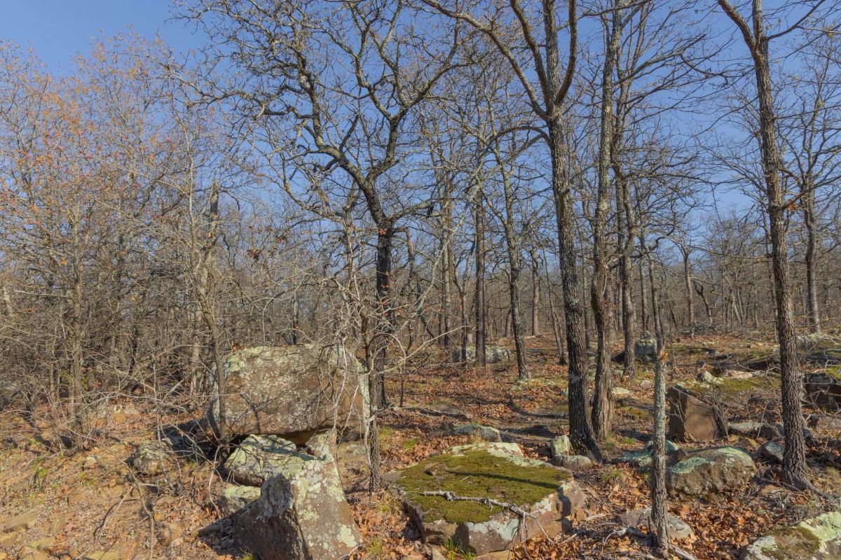 JLH Estates Tract 21 - Main image
