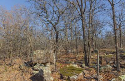 JLH Estates Tract 21