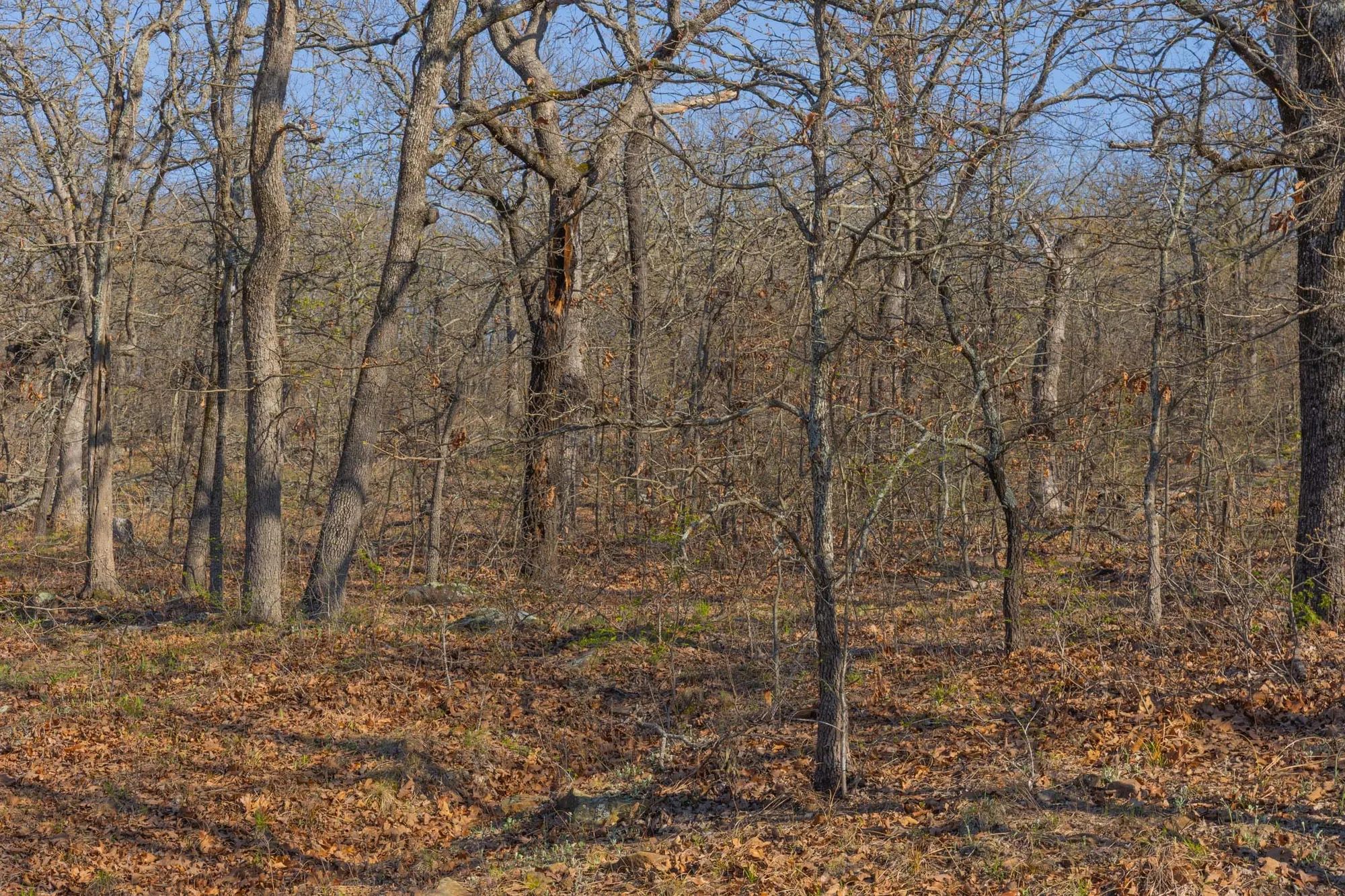 JLH Estates Tract 21 in Okfuskee County, OK