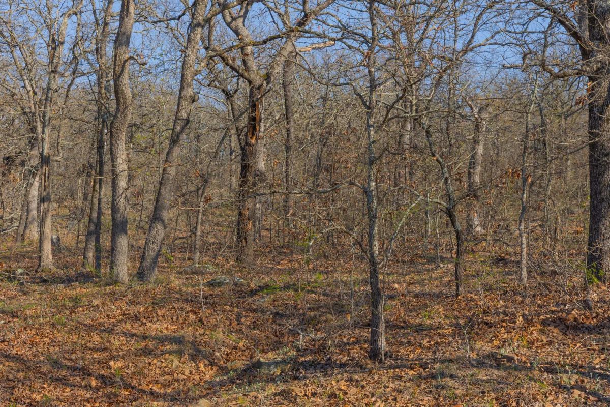 JLH Estates Tract 21 - Image 3