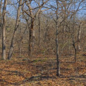 JLH Estates Tract 21 in Okfuskee County, OK