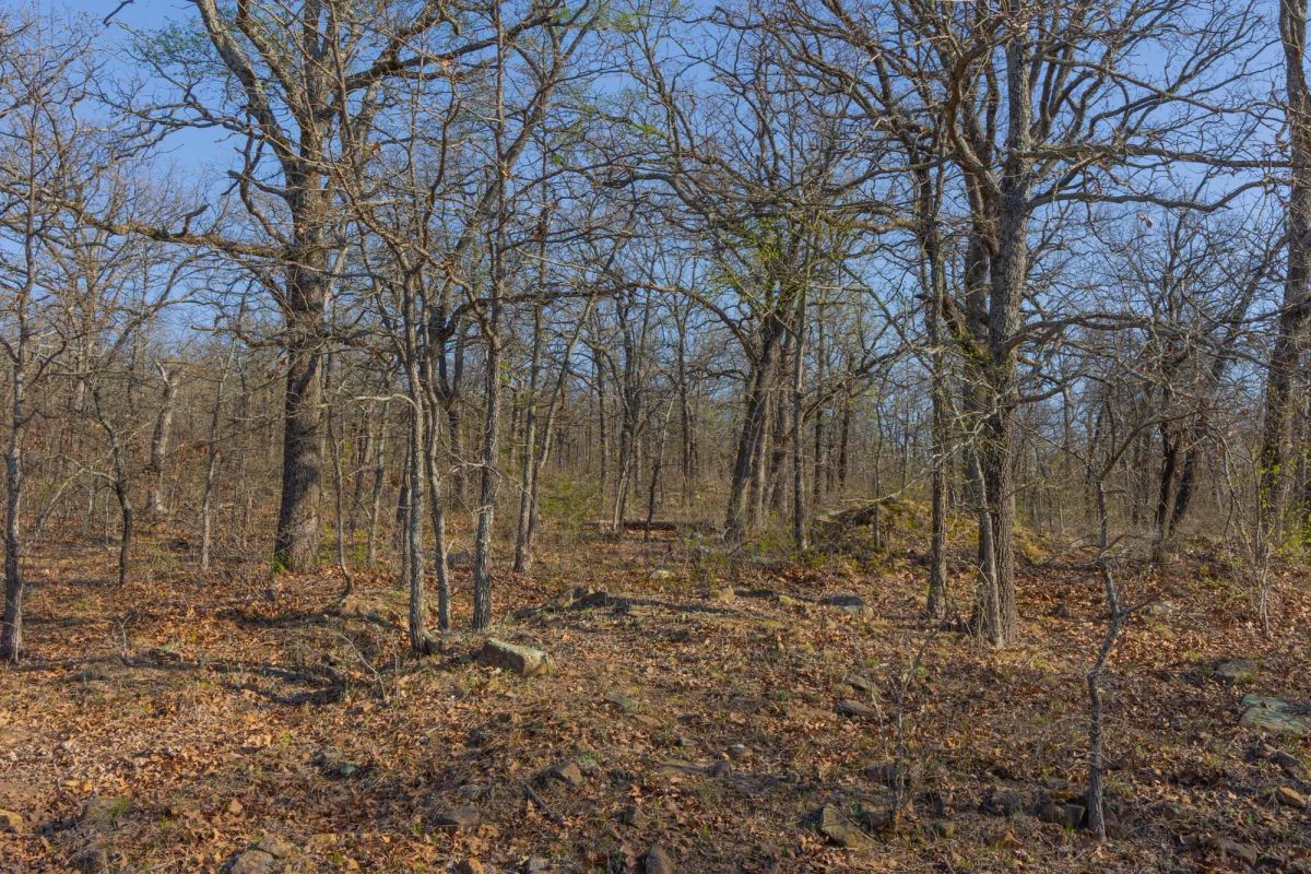 Decorative background for JLH Estates Tract 21 image 13