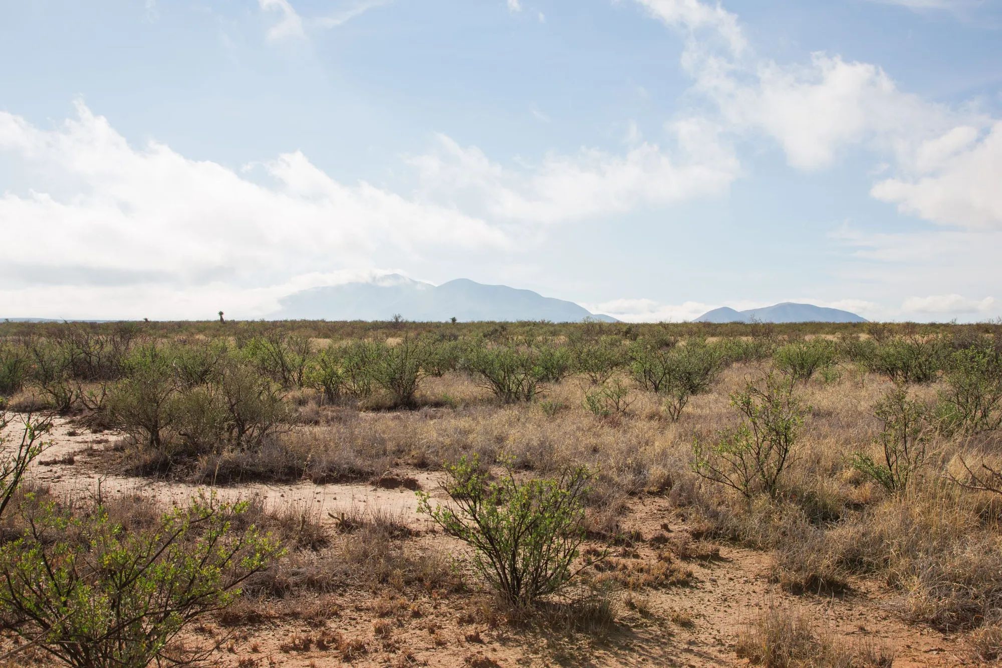 Sunset Ranches Tract 12 in Hudspeth County, TX