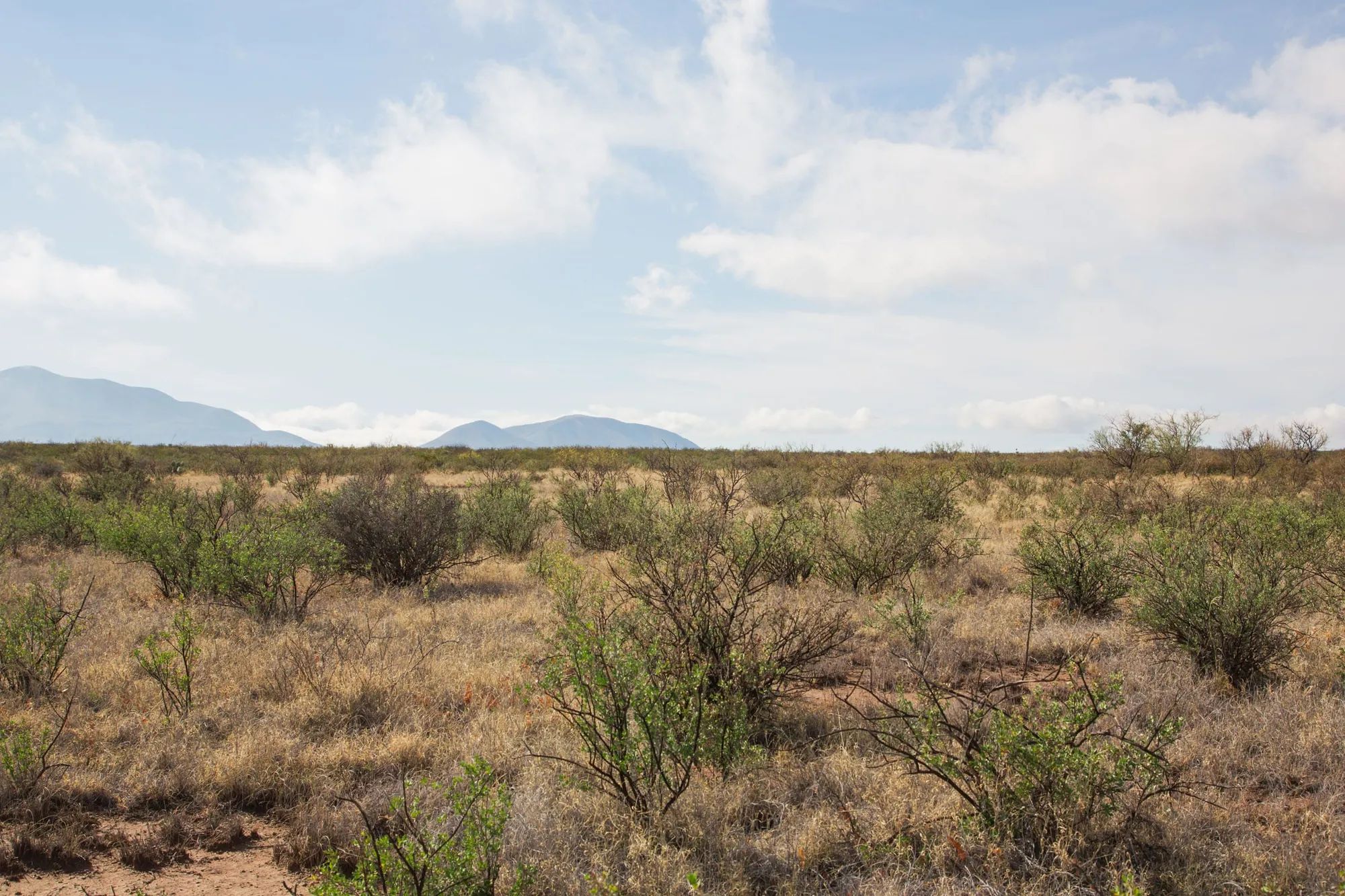 Sunset Ranches Tract 12 in Hudspeth County, TX