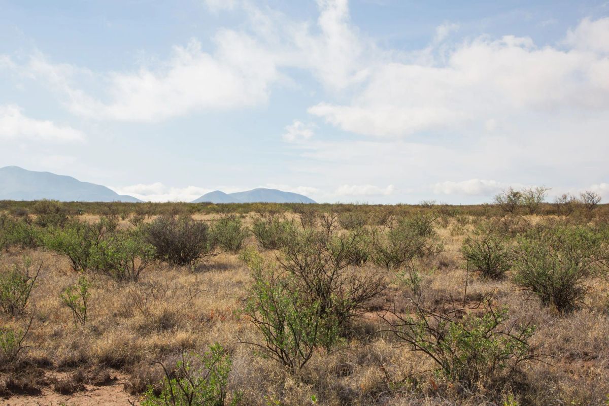 Sunset Ranches Tract 12 - Image 4