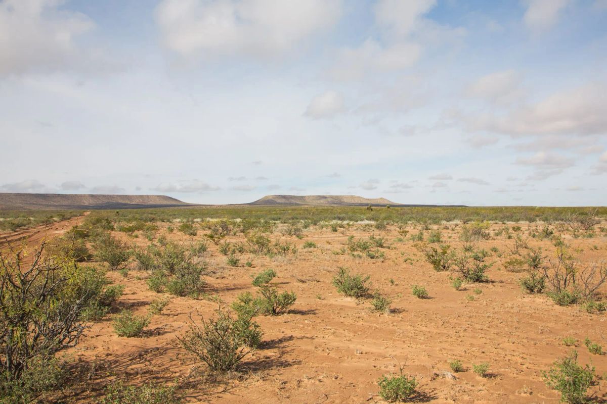 Decorative background for Sunset Ranches Tract 12 image 5