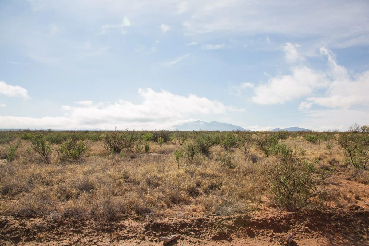 Decorative background for Sunset Ranches Tract 12 image 6