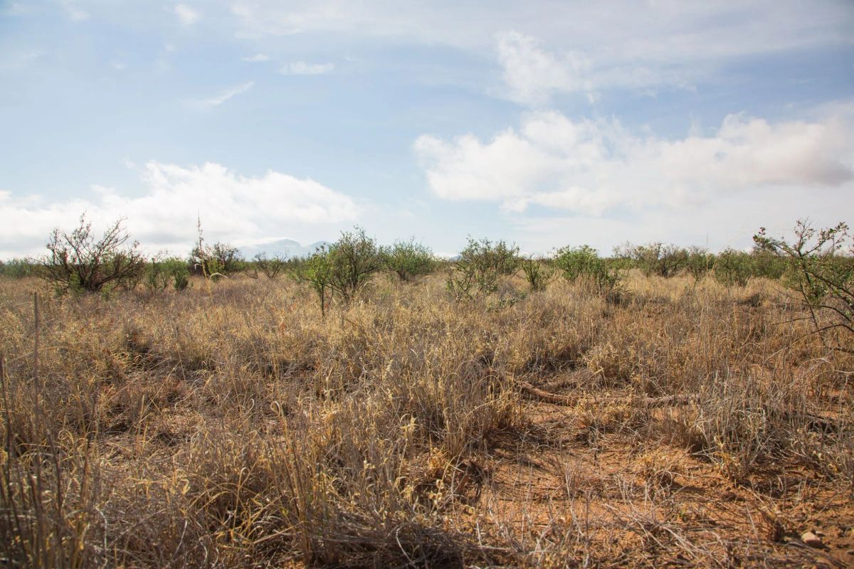 Decorative background for Sunset Ranches Tract 12 image 7