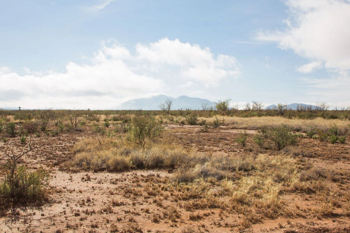 Decorative background for Sunset Ranches Tract 12 image 8