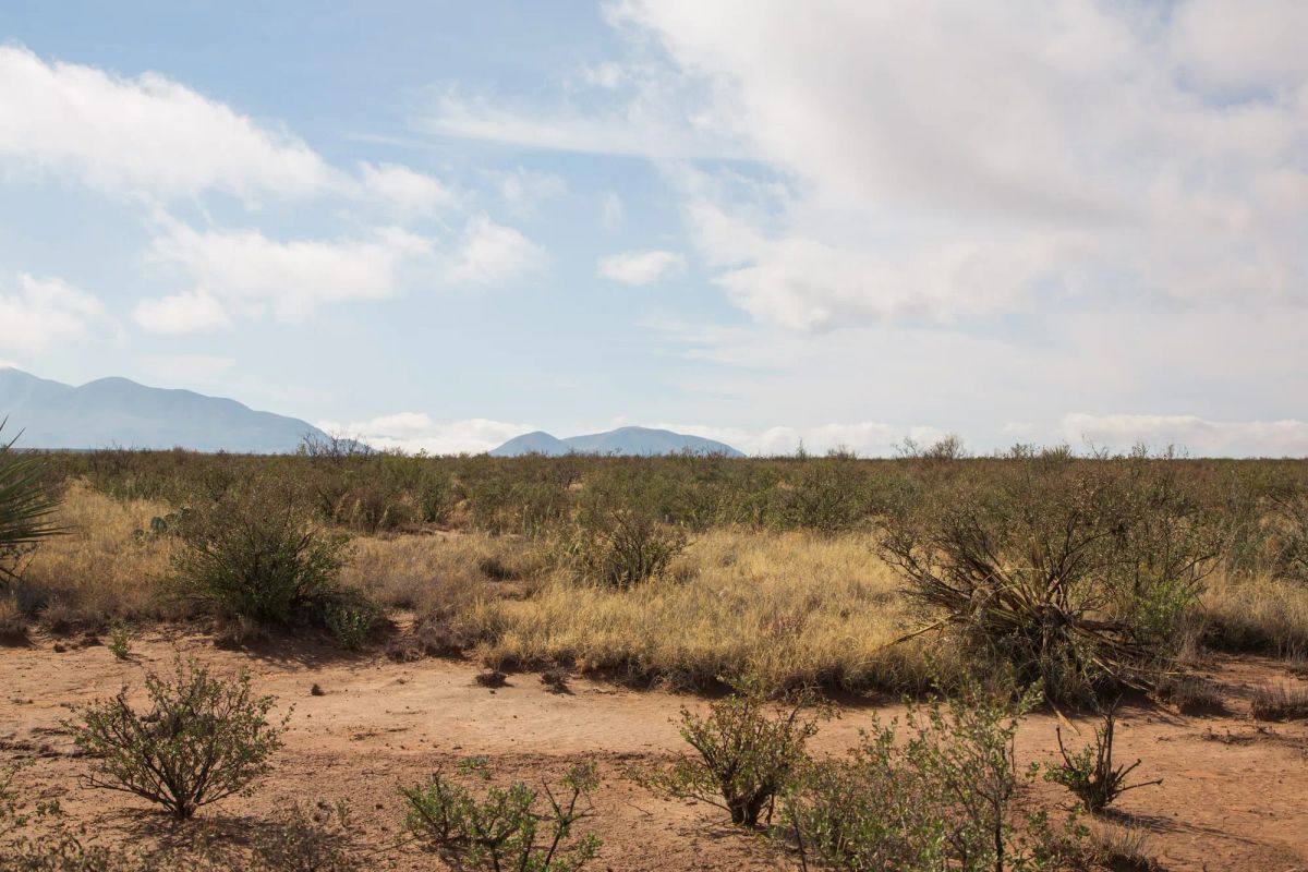Decorative background for Sunset Ranches Tract 12 image 9