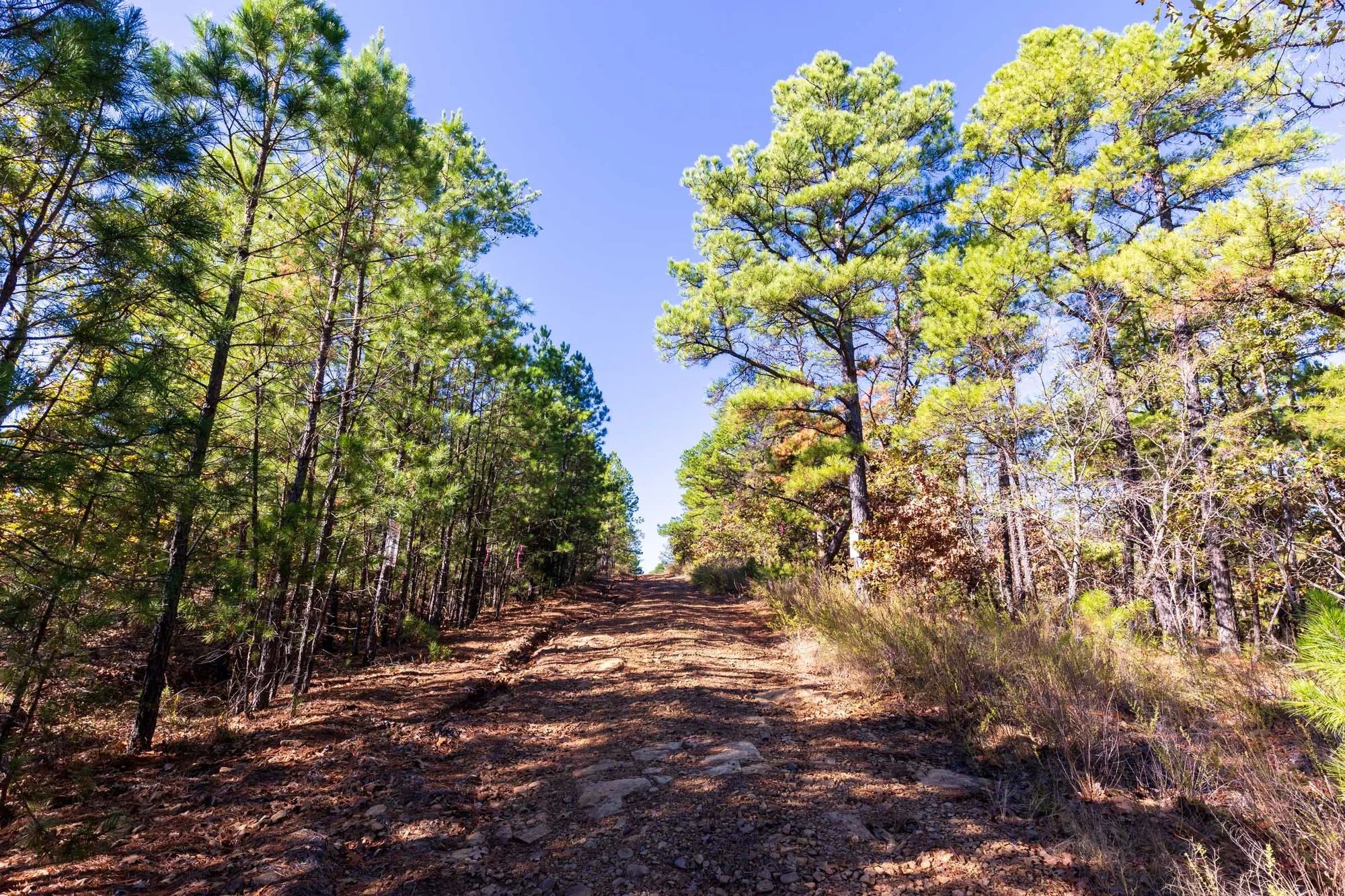 Stone Bridge Reserve Tract 16 in Haskell County, OK