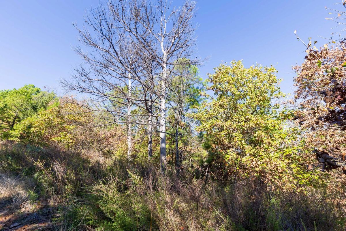 Stone Bridge Reserve Tract 16 - Image 2