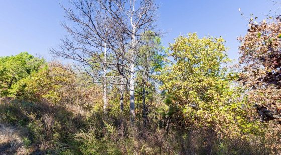 Stone Bridge Reserve Tract 16 in Haskell County, OK