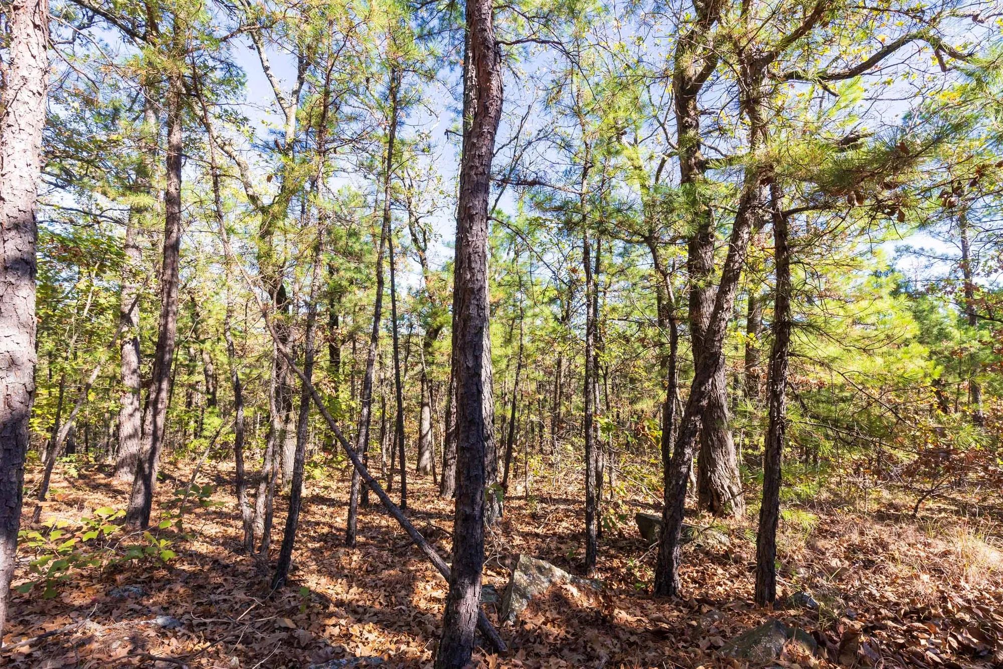 Stone Bridge Reserve Tract 16 in Haskell County, OK