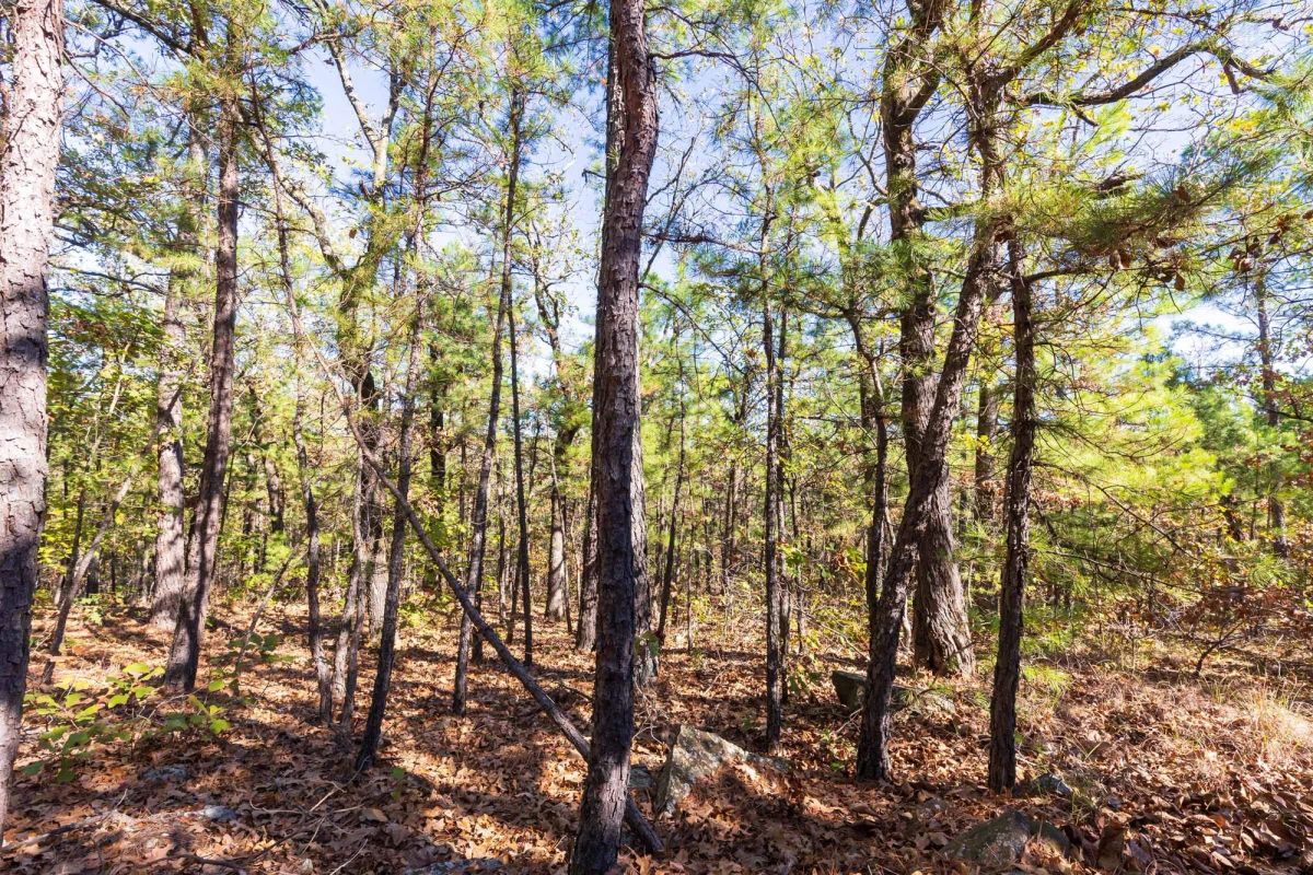 Stone Bridge Reserve Tract 16 - Image 4