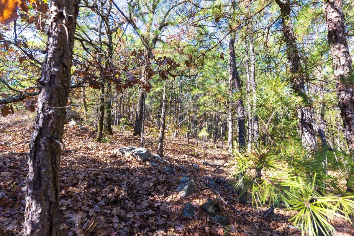Decorative background for Stone Bridge Reserve Tract 16 image 5