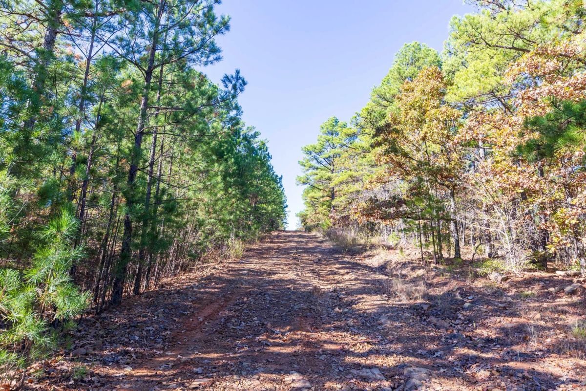 Decorative background for Stone Bridge Reserve Tract 16 image 6