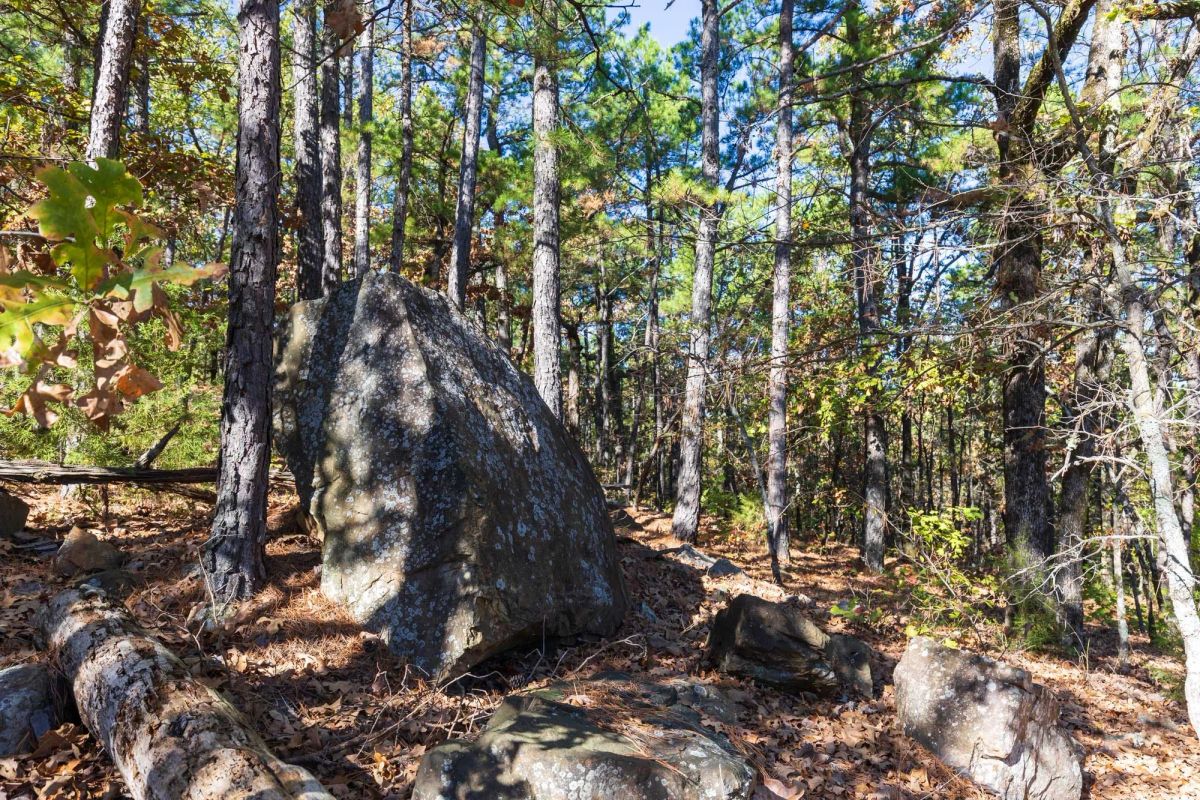 Decorative background for Stone Bridge Reserve Tract 16 image 11