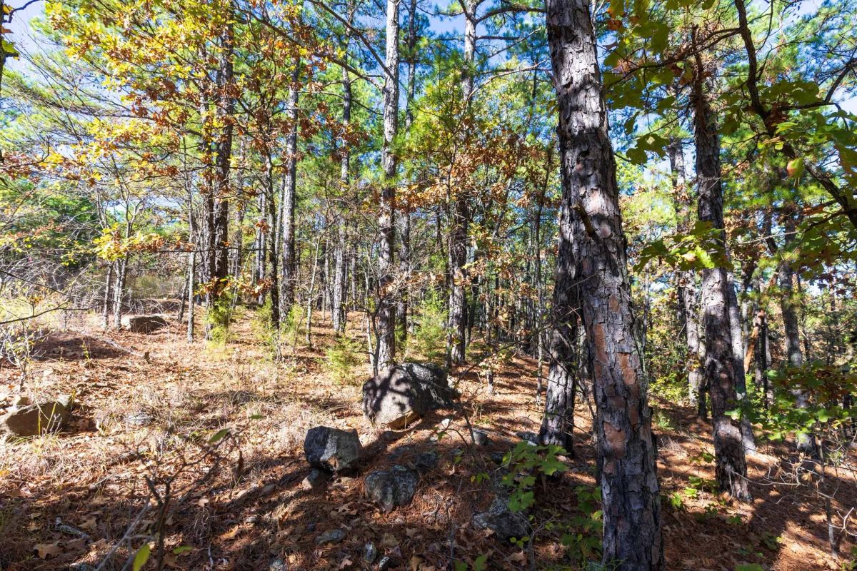 Decorative background for Stone Bridge Reserve Tract 16 image 12