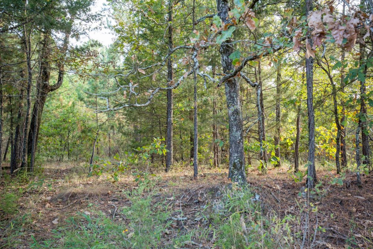 Stone Bridge Phase I Tract 43 - Image 3