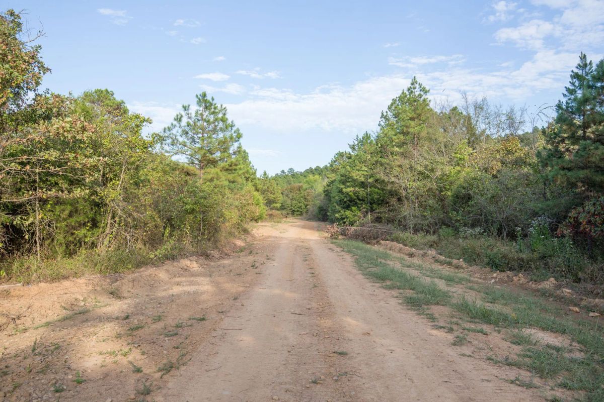Decorative background for Stone Bridge Phase I Tract 43 image 5