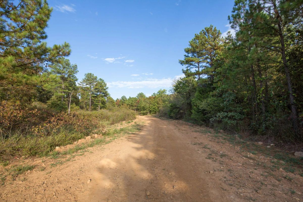Decorative background for Stone Bridge Phase I Tract 43 image 8