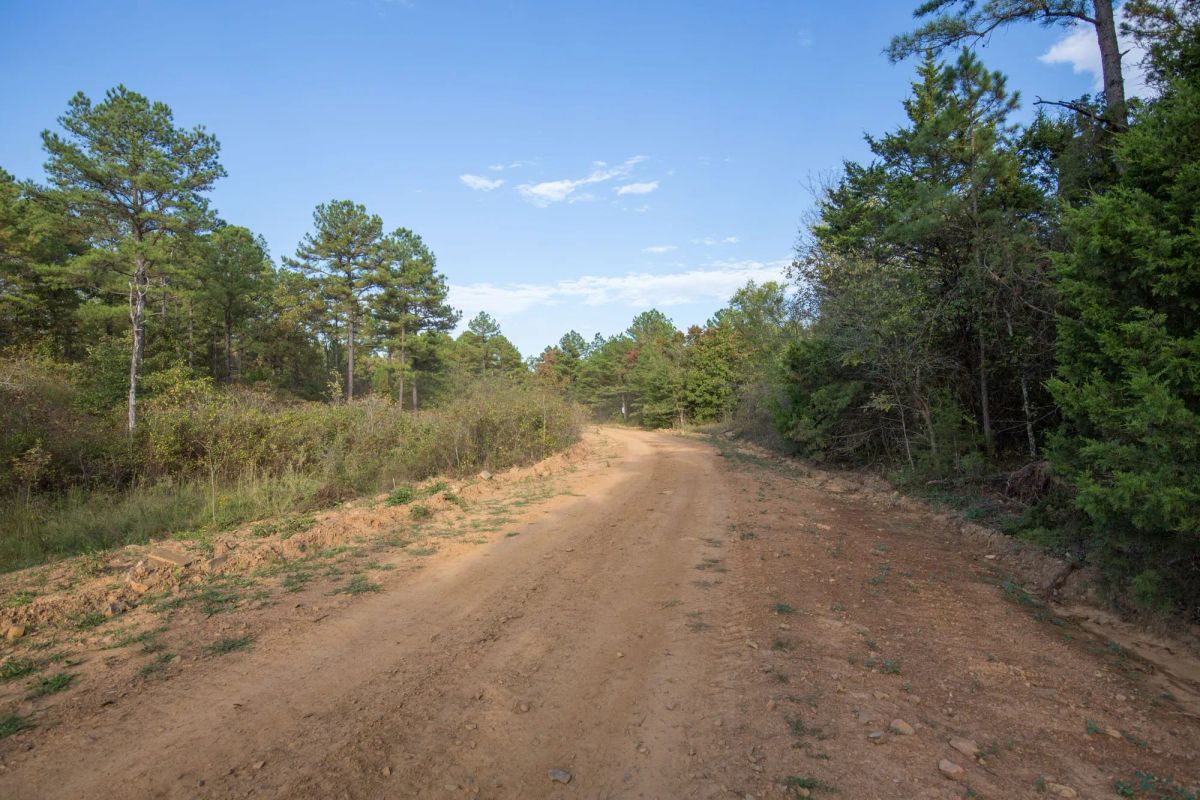 Decorative background for Stone Bridge Phase I Tract 43 image 9