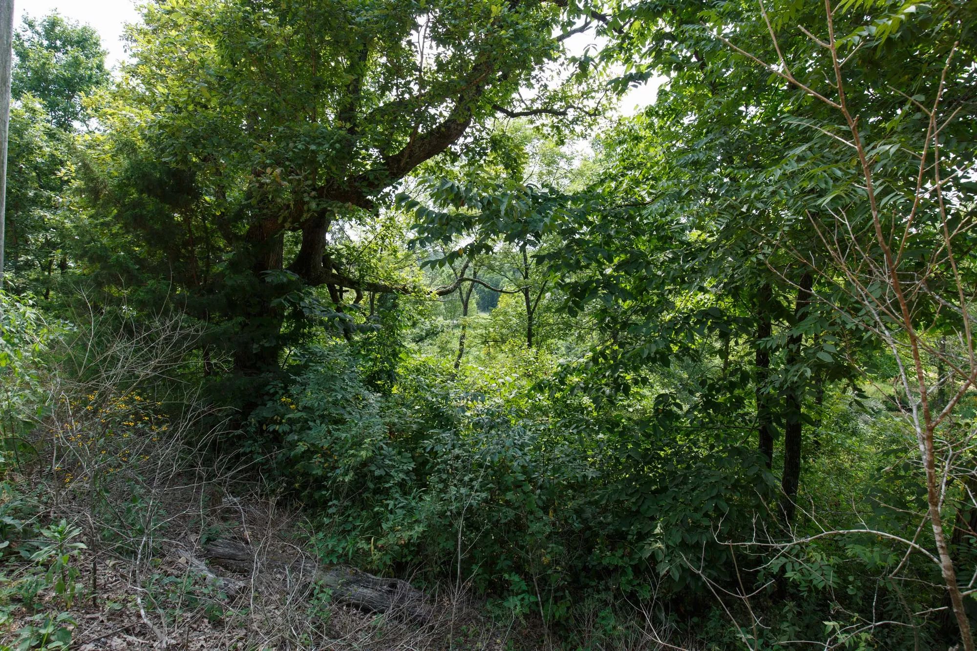 Spring Lake Plat 6 Tract 123