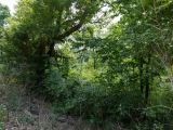 Spring Lake Plat 6 Tract 123