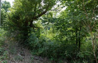 Spring Lake Plat 6 Tract 123