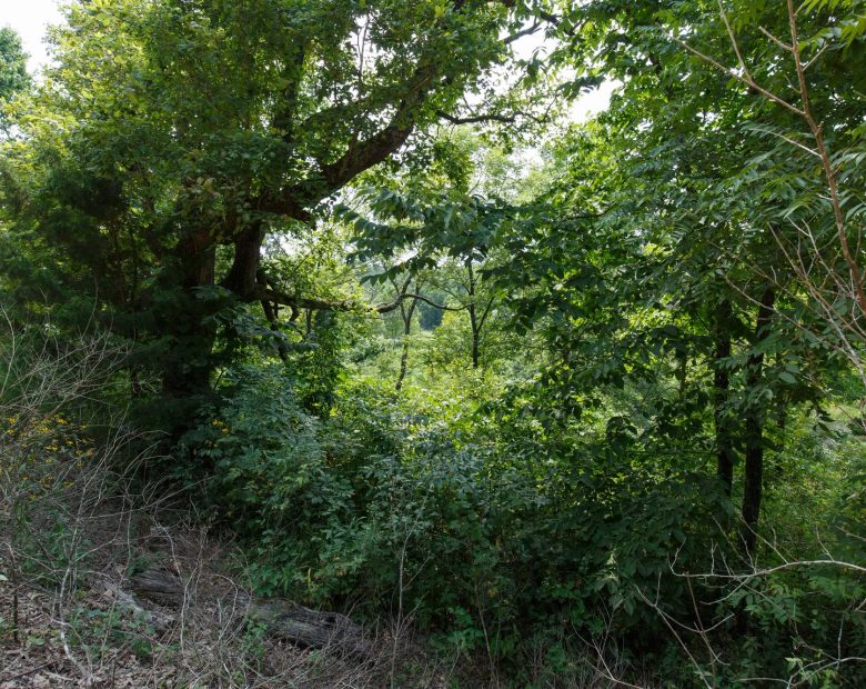 Spring Lake Plat 6 Tract 123 in Miller County, MO