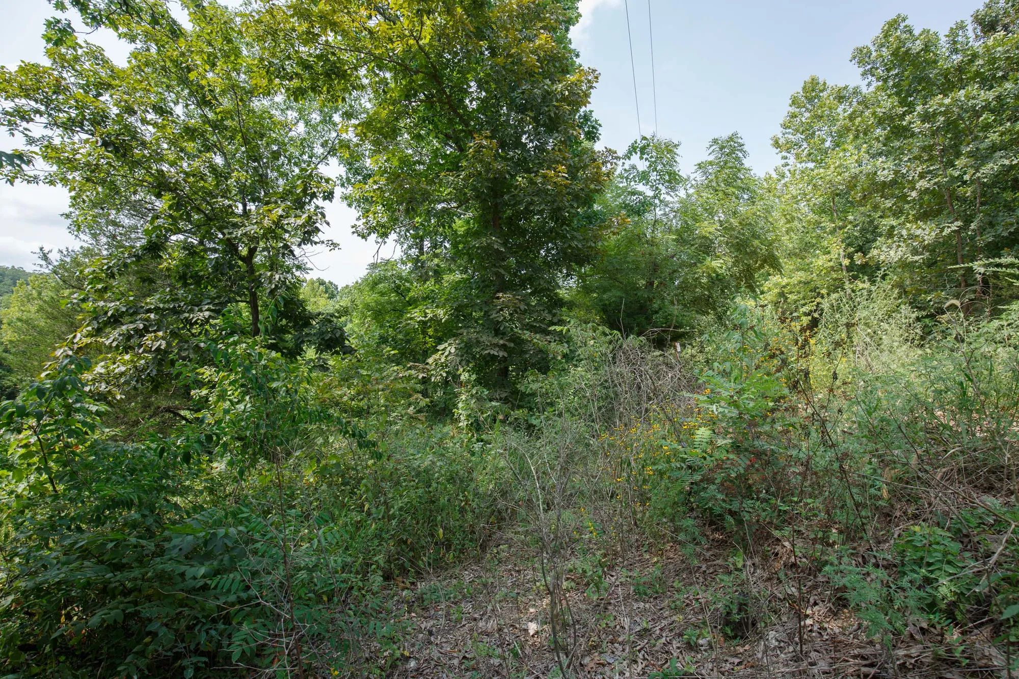 Spring Lake Plat 6 Tract 123 in Miller County, MO