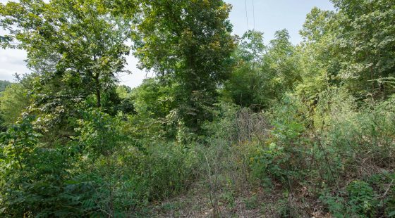 Spring Lake Plat 6 Tract 123 in Miller County, MO