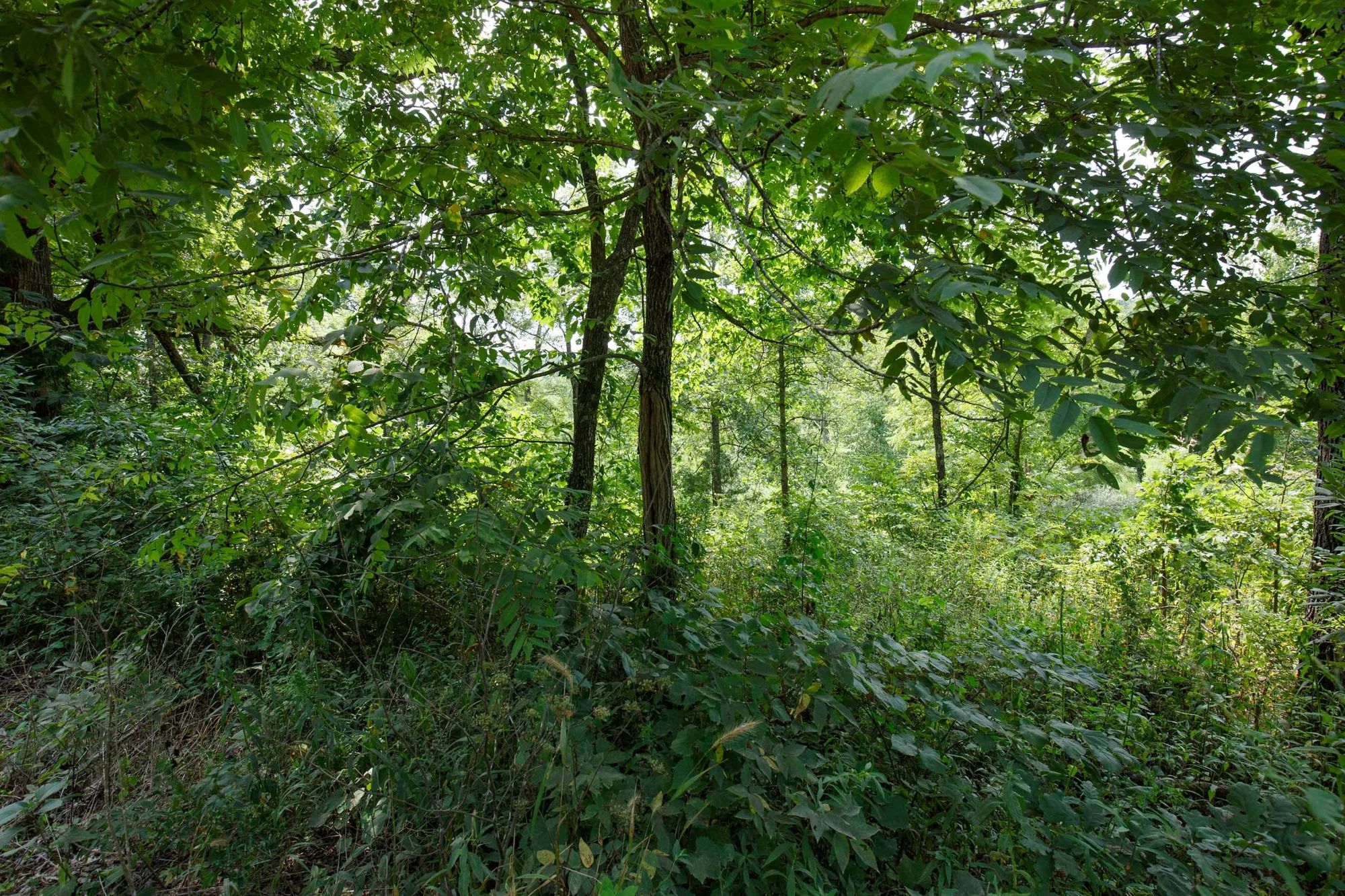 Spring Lake Plat 6 Tract 123 in Miller County, MO