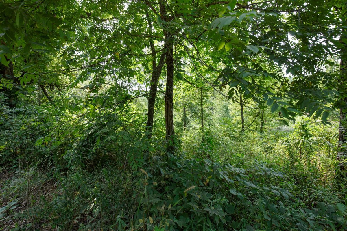 Spring Lake Plat 6 Tract 123 - Image 3