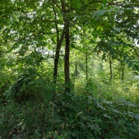 Spring Lake Plat 6 Tract 123 in Miller County, MO