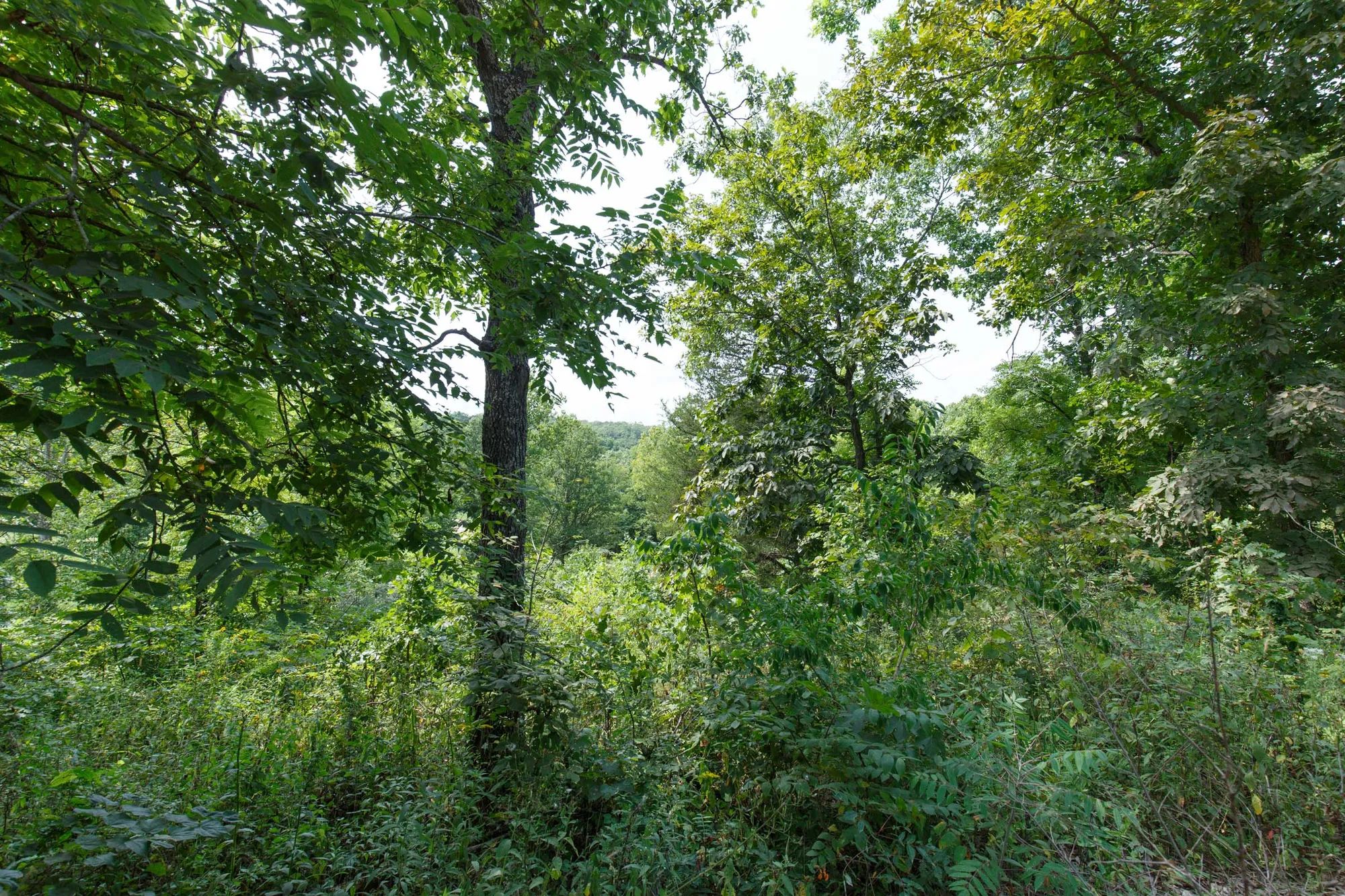 Spring Lake Plat 6 Tract 123 in Miller County, MO