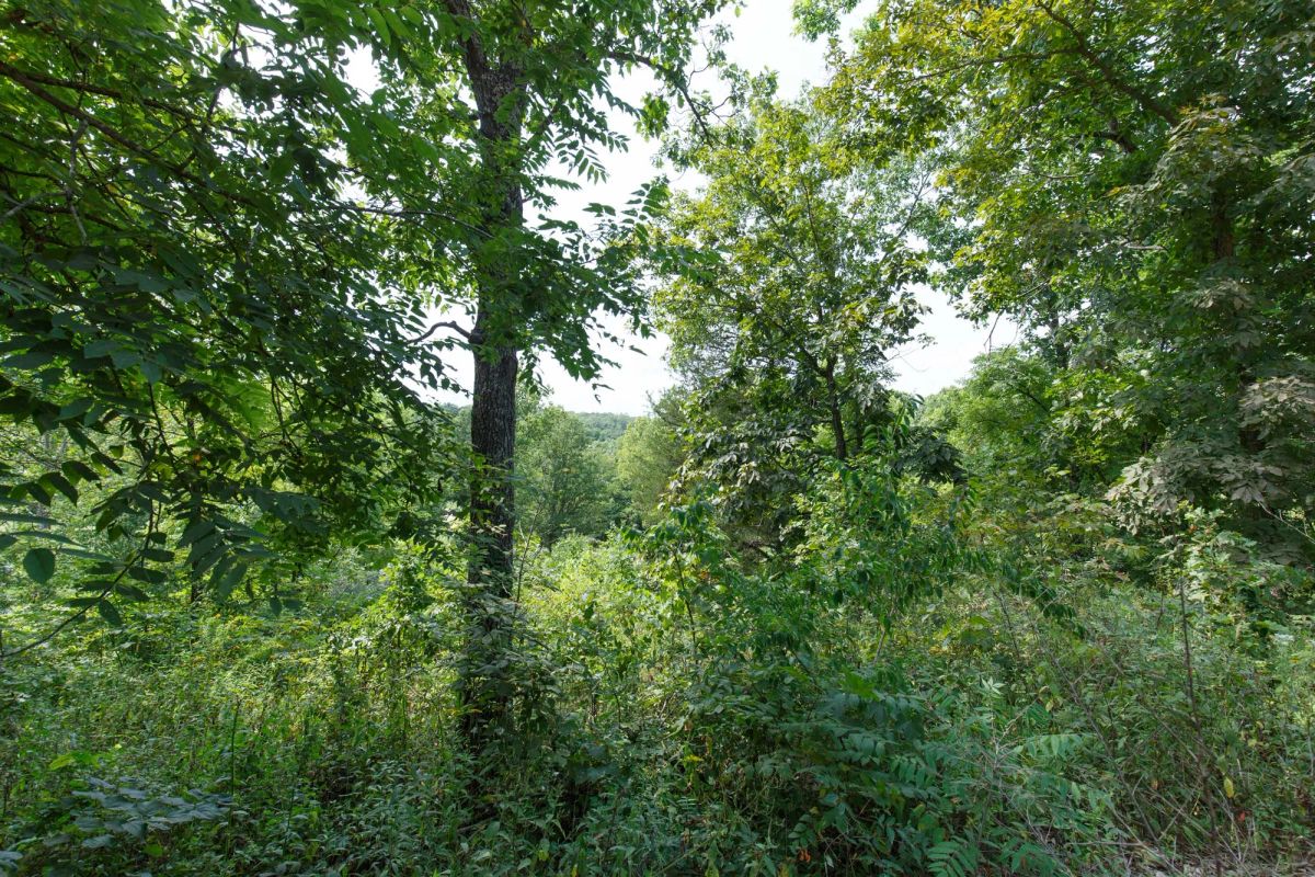 Spring Lake Plat 6 Tract 123 - Image 4
