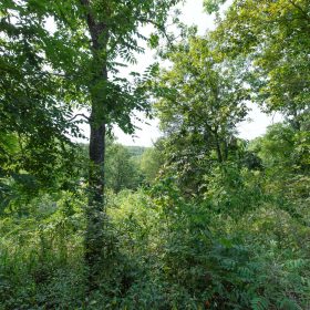 Spring Lake Plat 6 Tract 123 in Miller County, MO