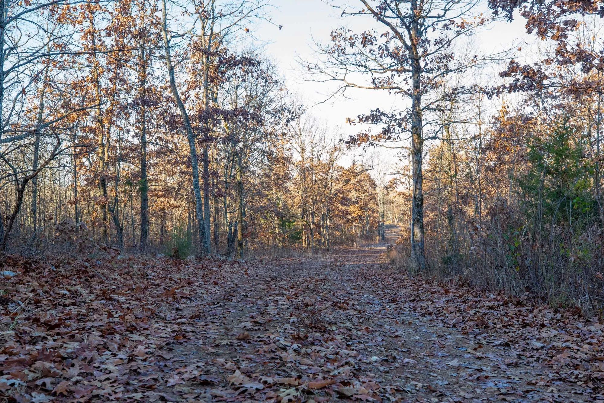 Dutchman Hollow Tract 4 in Fulton County, AR