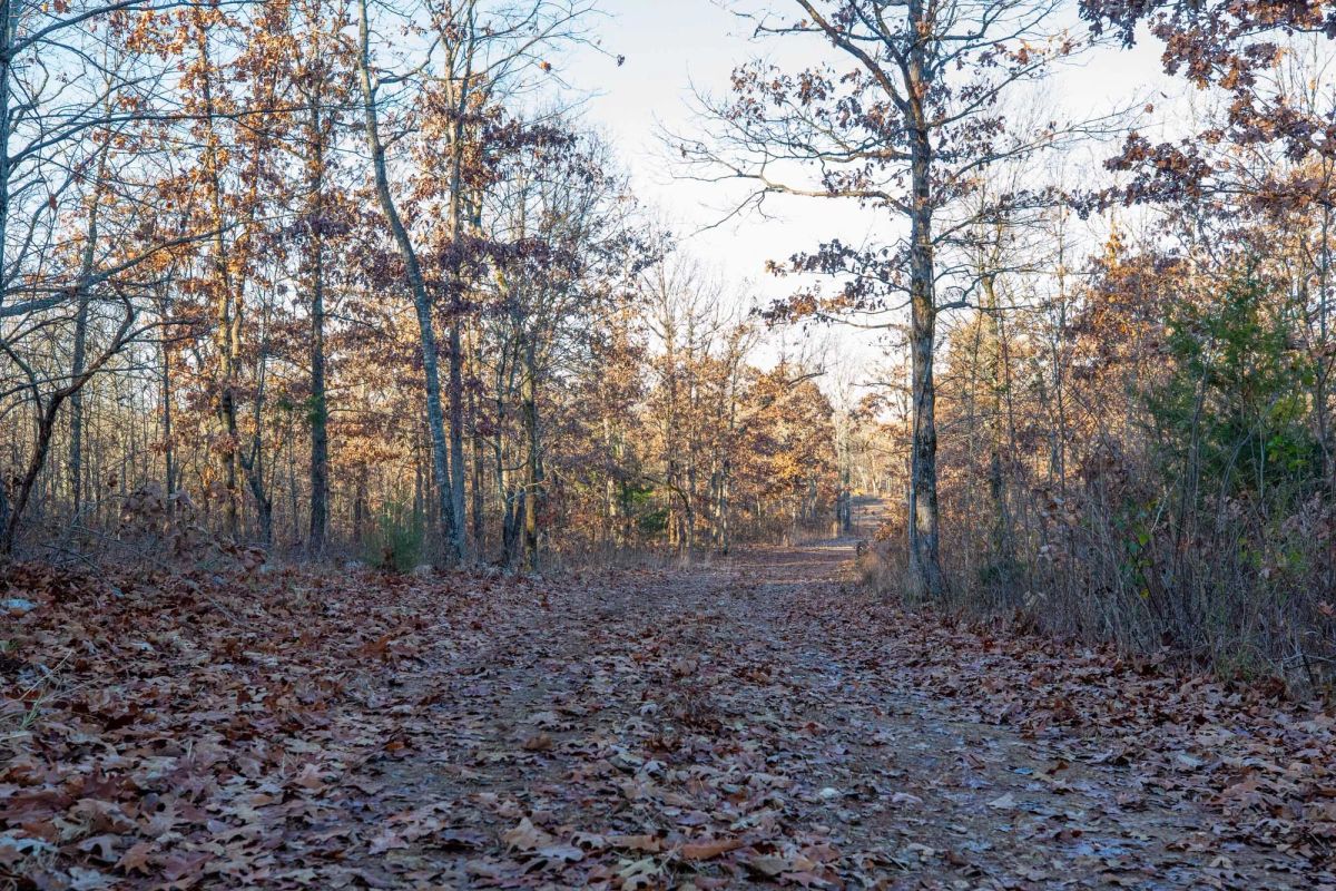 Dutchman Hollow Tract 4 - Main image